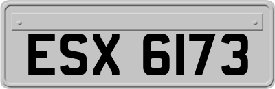 ESX6173