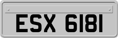 ESX6181