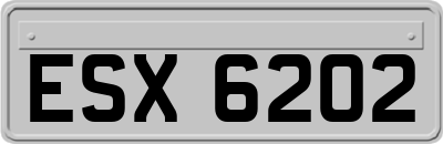 ESX6202