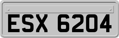 ESX6204