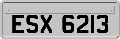 ESX6213