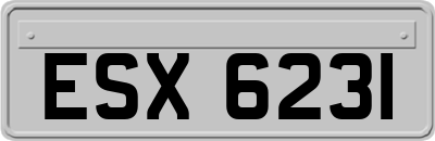 ESX6231