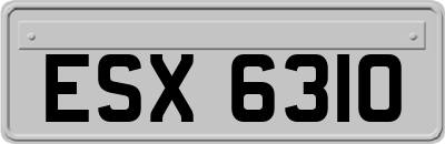ESX6310