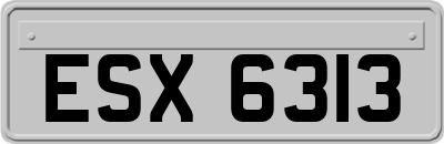 ESX6313