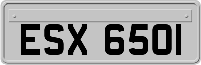ESX6501