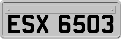 ESX6503
