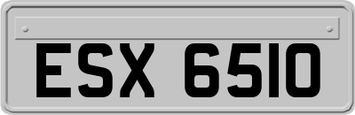 ESX6510