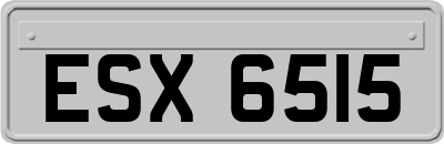 ESX6515