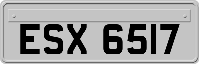 ESX6517