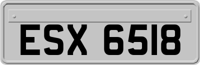 ESX6518