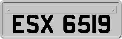 ESX6519