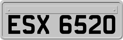 ESX6520