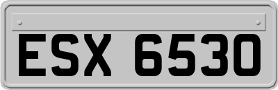 ESX6530