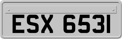 ESX6531
