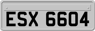ESX6604