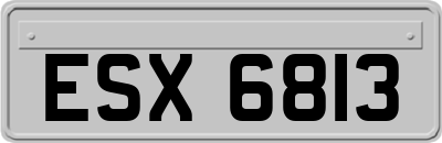 ESX6813