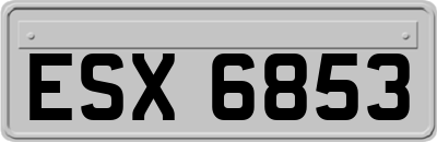 ESX6853