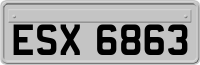 ESX6863