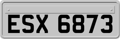 ESX6873