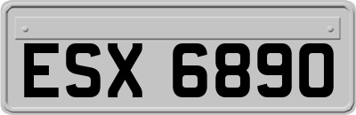 ESX6890