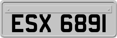 ESX6891