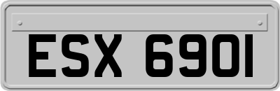ESX6901