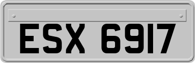 ESX6917