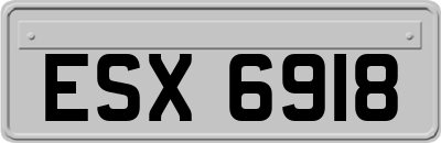 ESX6918
