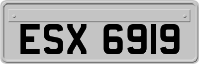 ESX6919
