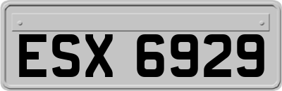 ESX6929