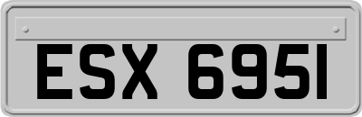 ESX6951