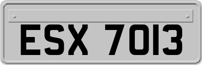 ESX7013