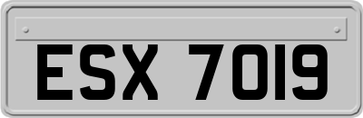 ESX7019