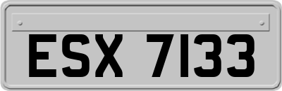 ESX7133