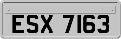 ESX7163