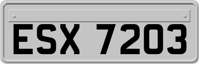 ESX7203