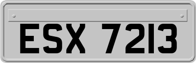 ESX7213