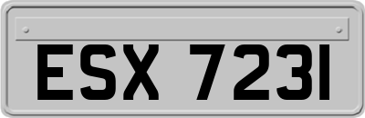 ESX7231