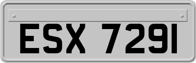 ESX7291