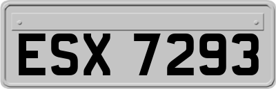 ESX7293