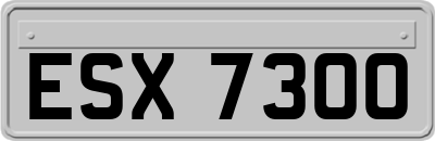 ESX7300