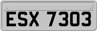ESX7303