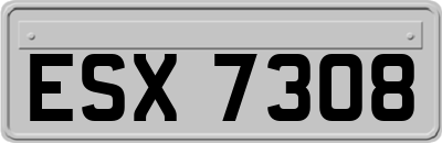 ESX7308