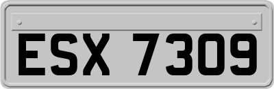 ESX7309