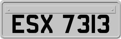 ESX7313