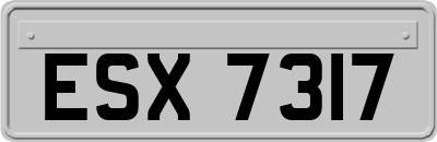 ESX7317