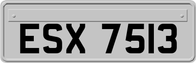 ESX7513