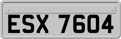 ESX7604