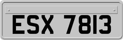 ESX7813
