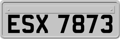 ESX7873
